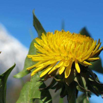 彩票平台wellcome